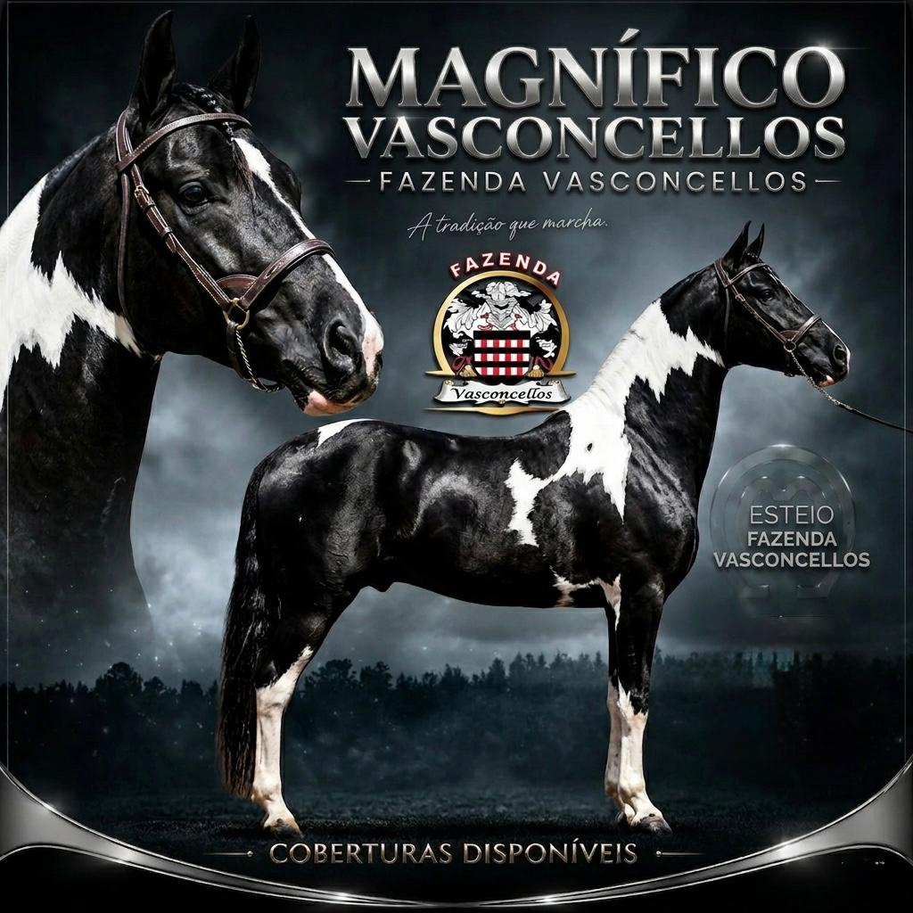Magnífico Vasconcellos, Fazenda Vasconcellos