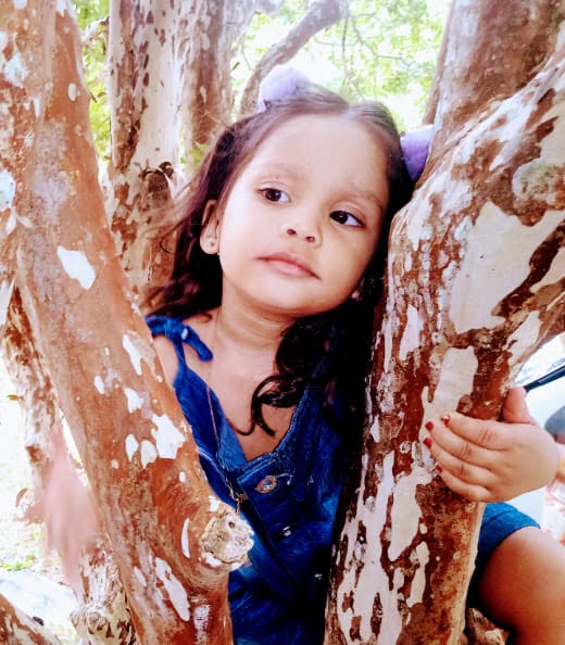 Menina brincando entre os galhos de uma árvore antiga da fazenda