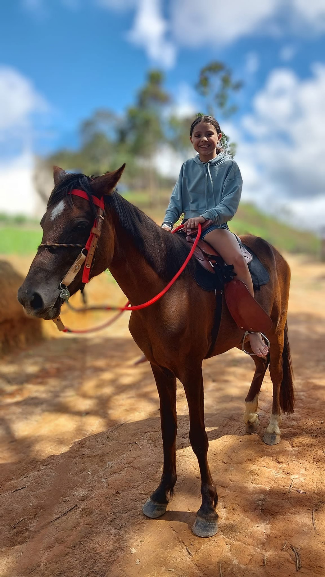 Passeio a cavalo pelos pastos da Fazenda Vasconcellos