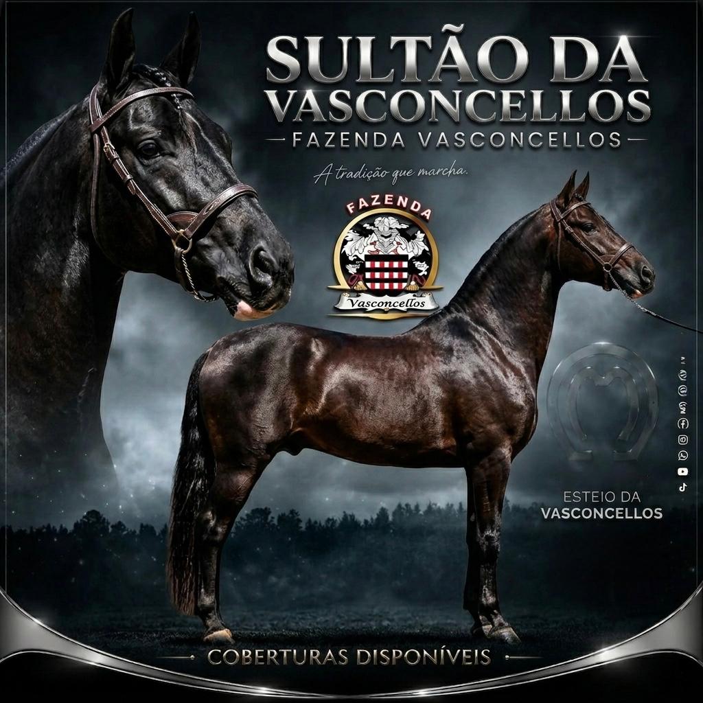 Sultão da Vasconcellos, Fazenda Vasconcellos