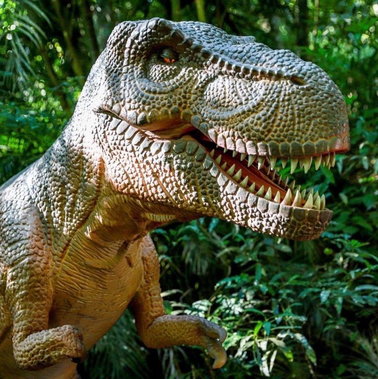 Terra dos Dinos