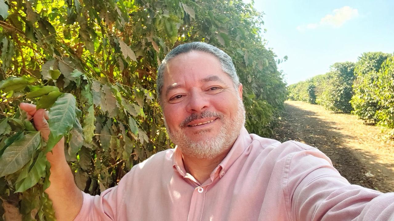 Produtor avaliando as folhas de um cafeeiro arábica