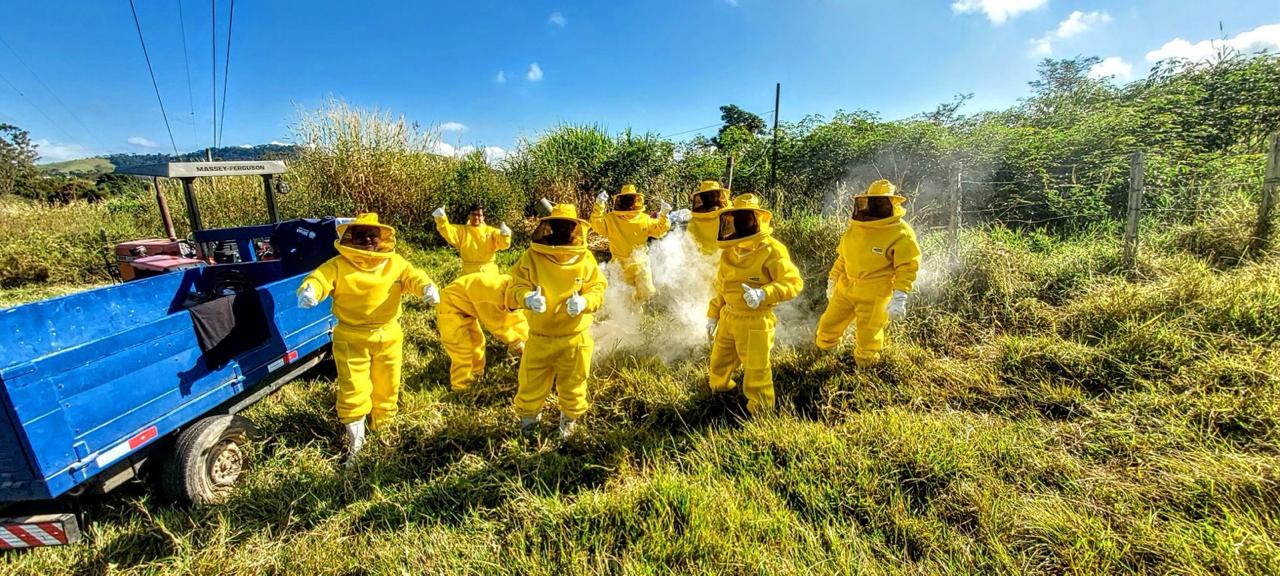 Equipe de apicultores uniformizada trabalhando no apiário da fazenda