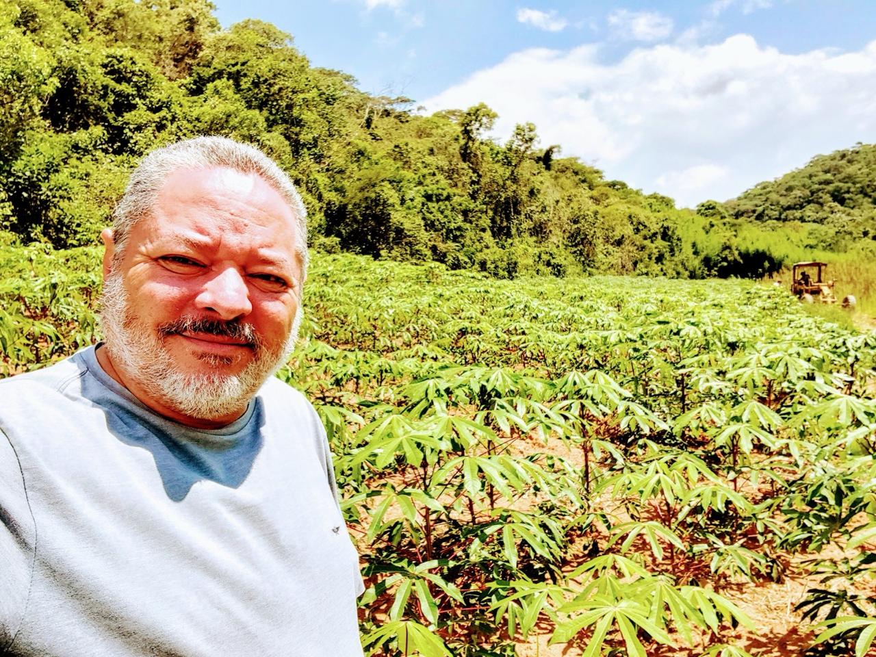 Plantação de mandioca com produtor em primeiro plano