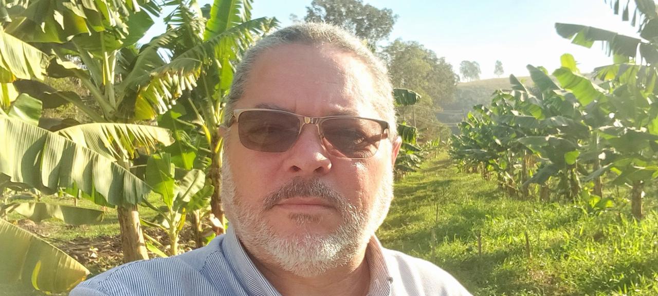 Produtor no meio do bananal em uma manhã de sol